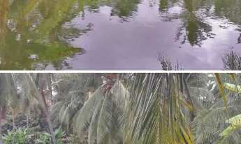 Imagem 4: Alugue este espaço particular, com açúdes cheios de peixes, com chalé, ótimo para eventos