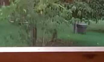 Imagem 7: Chácara em Jarinu 180m construídos 2500m total