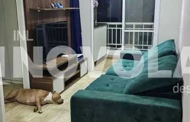 Imagem 3: Apartamento, Vila Amália