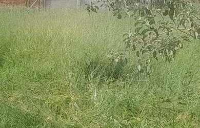 Imagem 5: Terreno com acesso asfaltado