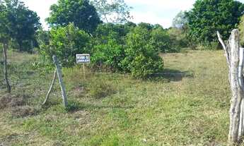Imagem 2: TERRENO DE 1500m² EM SANTO AMARO