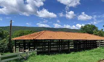 Imagem 5: Fazenda 1541 Hectares Para Pecuária Com Ótimo Acesso - Acorizal/MT