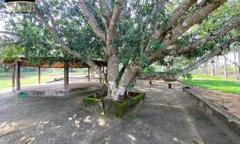 Imagem 6: Chácara com Cachoeira mata nativa - 4 quartos, 4 suítes, 3 salas e 250m² de área em Chapad