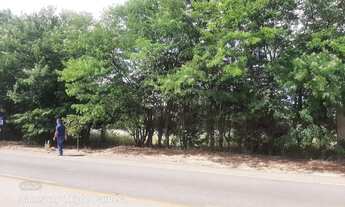 Imagem 3: Vendo Excelentes Áreas, à Margens da DF-230, nas proximidades da Cachoeira do Pipiripau e