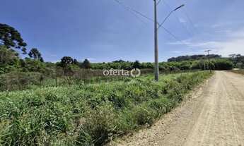 Imagem 6: Chácara em Araucária / Camundá