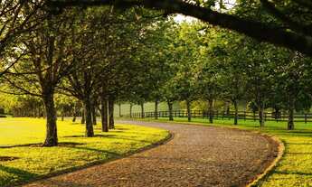 Imagem 2: Terreno para Venda em Indaiatuba, Reserva Itanhangá