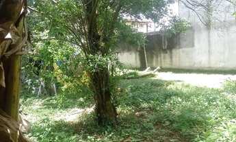 Imagem 4: Camping no rio vermelho