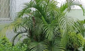 Imagem 4: Apartamento 2 quartos Esplanada