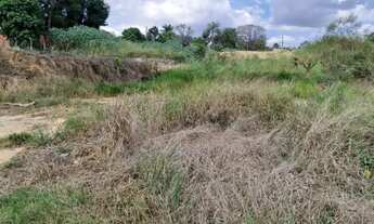 Imagem 3: Oportunidade chacara 10000 com documentaçao