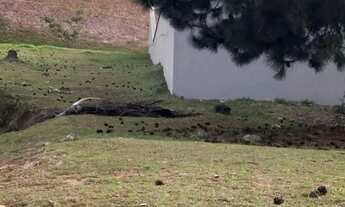 Imagem 3: TERRENO EM CONDOMÍNIO - TAMBORÉ - SP