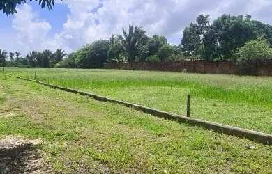 Imagem 3: Vendo 2 hectares em Rosário