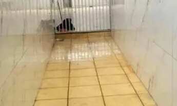 Imagem 6: CASA- 3 quartos, 1 suíte, 250m², Armários- Jardim Clarissa