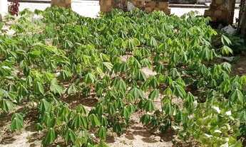 Imagem 3: Vende-se terreno