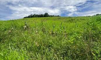Imagem: Lotes em Ibiúna ideal para seu chalés