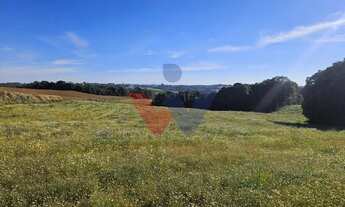 Imagem: Chácara 7 Alqueires em Campo Magro Ideal