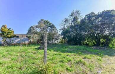 Imagem 7: Vendas Terreno Piraquara PR