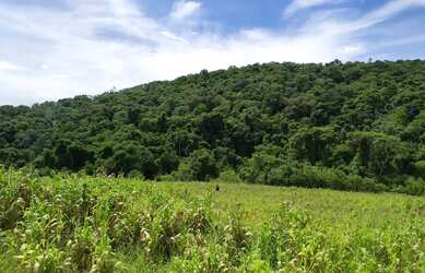 Imagem 6: Oportunidade Única de Terrenos em Pré-Lançamento em Ibiúna