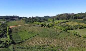 Imagem 2: INBOX CIA IMOBILIÁRIA VENDE - Terreno NO VALE DOS VINHEDOS