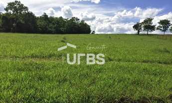 Imagem 4: Chácara em Bela Vista - Sede de Luxo - Rio Piracanjuba no Fundo