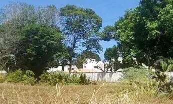 Imagem 3: Imóvel para aluguel tem 450 metros quadrados em Povoado Barra Nova - Marechal Deodoro - AL