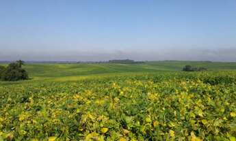 Imagem 3: Vende se Linda Fazenda 95,19 alqueires