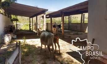 Imagem 4: Campo Brasil Imóveis, realizando seu sonho rural! Sítio de 32aq em Monteiro Lobato!