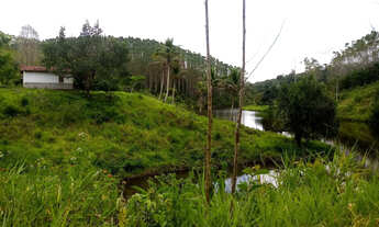 Imagem 5: FAZENDA BR. 101 ITAMARATI / IBIRATAIA. 149 HA. 73 9 9950 0058 ZAP. EDSON