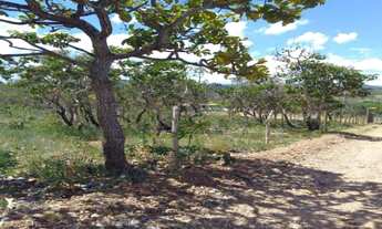 Imagem: Linda chácara de 1.000 metros,Baldim (Temos