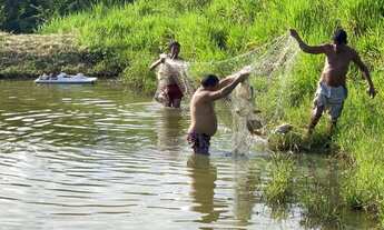 Imagem 5: Fazenda a 25 km de Feijo
