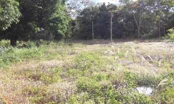 Imagem 7: Lindo sitio de 20 mil metros(Baldim) Temos varias opções)