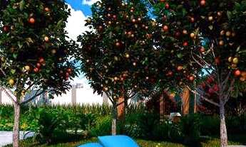 Imagem 6: Apartamentos na Cruz das almas