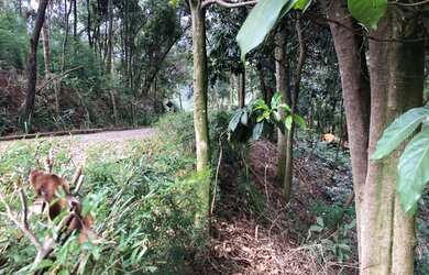 Imagem 6: Nova Lima - Loteamento/Condomínio - Estancia Serrana