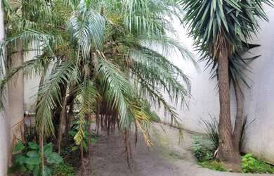 Imagem 5: Casa com 3 dormitórios à venda, 180 m² por R$ 1.980.000,00 - Brooklin Paulista - São Paulo