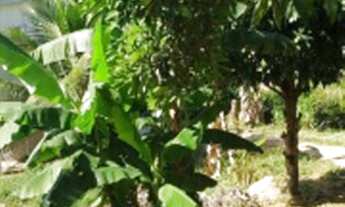 Imagem 4: Lote/terreno à venda em Fundão