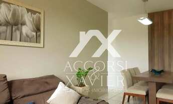 Imagem 6: Apto Macedo Teles - 3 Dorm / 1 Vaga / 65 m² - SJRP/SP