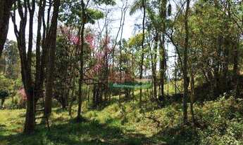 Imagem 5: Sítio com 4 dormitórios à venda, 29000 m² por R$ 450.000 - Centro - Salesópolis/SP