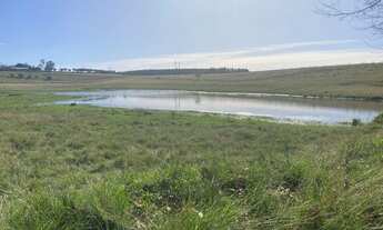 Imagem 2: Fazenda para venda tem 174 hectares