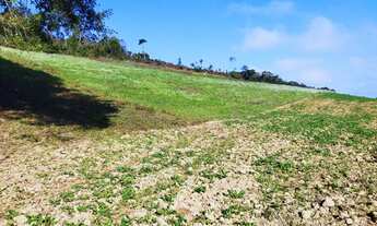 Imagem 5: Área para formar chácara com 67.000m² Jardim são roque- Campo novo