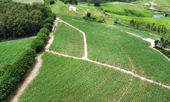 Imagem 2: Sitio 18 alqueires - Ipeúna - SP