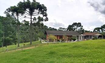 Imagem 5: RIO NEGRINHO - CHACARA - Barro Preto