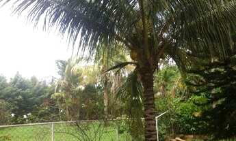 Imagem 4: SÃO JOSÉ DO RIO PRETO - RESIDENCIAL - TALHADOS