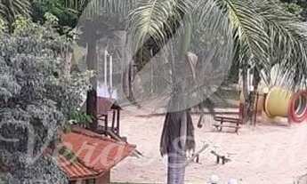 Imagem 7: Apartamento - Jardim Juliana - Indaiatuba