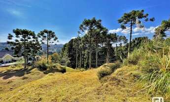 Imagem 6: Terreno à venda, 1230 m² por R$ 1.230.000,00 - Jardim das Pérolas - Campos do Jordão/SP