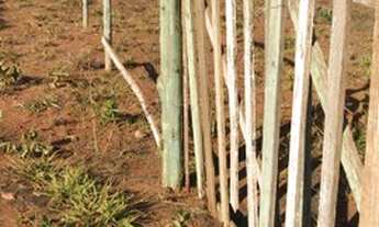 Imagem 6: Dois lote setor grande Goiânia na terra Hidrolândia