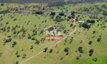 Imagem 7: Fazenda 303 alqueires (1467 hectares) Vila Propício-GO