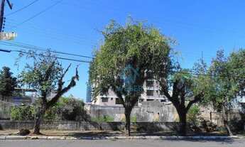 Imagem: Terreno 22,80 X 33 plano no Rio Branco Novo