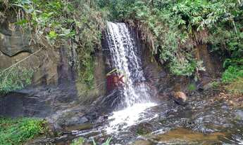 Imagem 2: Fazenda com 5 dormitórios à venda, 600000 m² por R$ 1.600.000,00 - Zona Rural - Liberdade