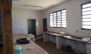 Imagem 6: Salão Comercial Novo Jardim Pagani - Bauru-SP