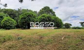 Imagem 4: Área rural em São José dos Pinhais