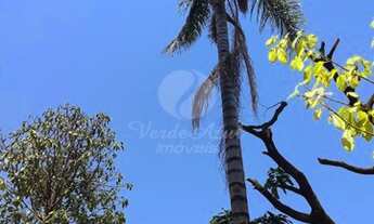 Imagem 2: Terreno - Jardim Baronesa - Campinas